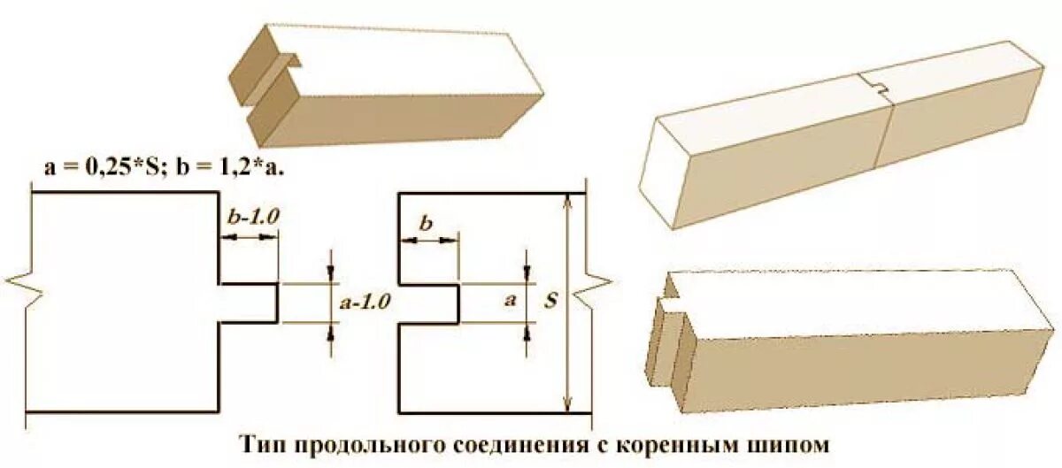 Выступ шипа