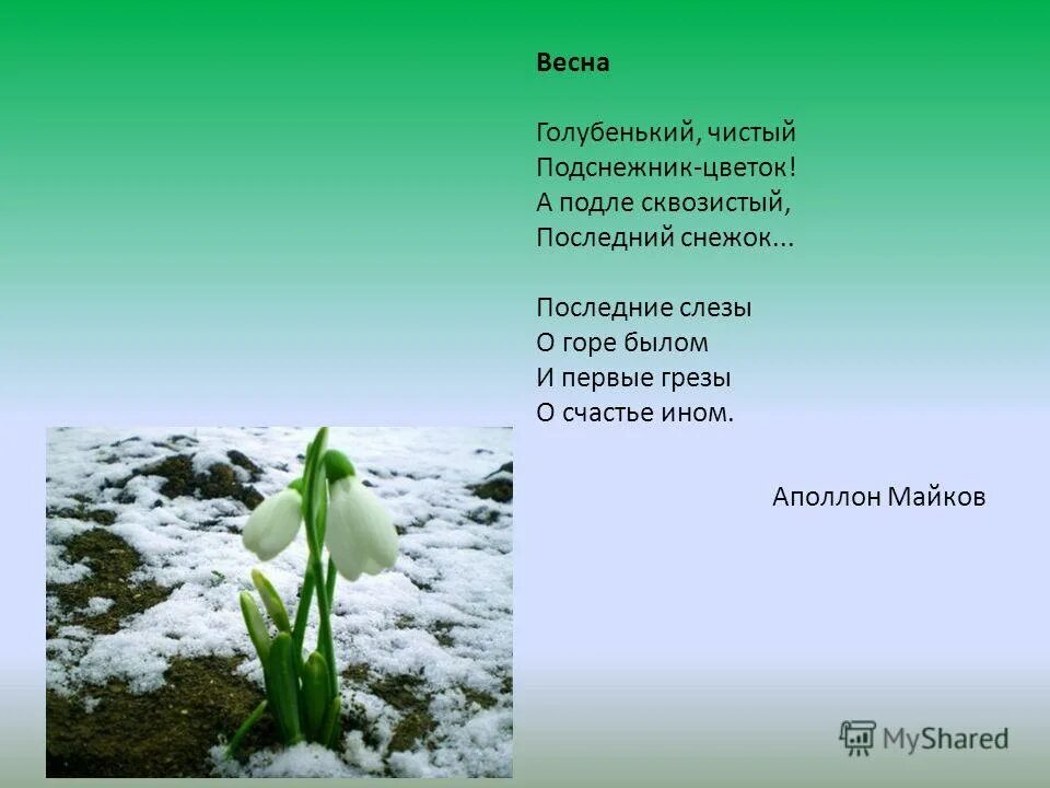 Проект по литературе о времени года. Стих про весну. Стихотворение о весне. Стишки про весну.