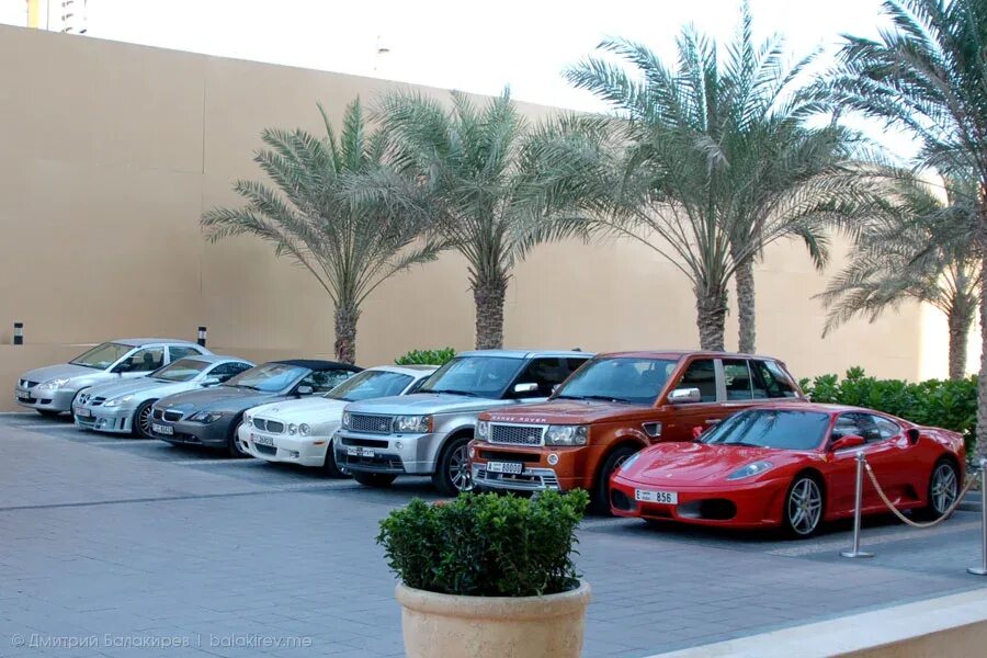 Зарегистрироваться дубай. Дубай машины. Автомобили в Дубае. Автопарк. Автопарк шейха.