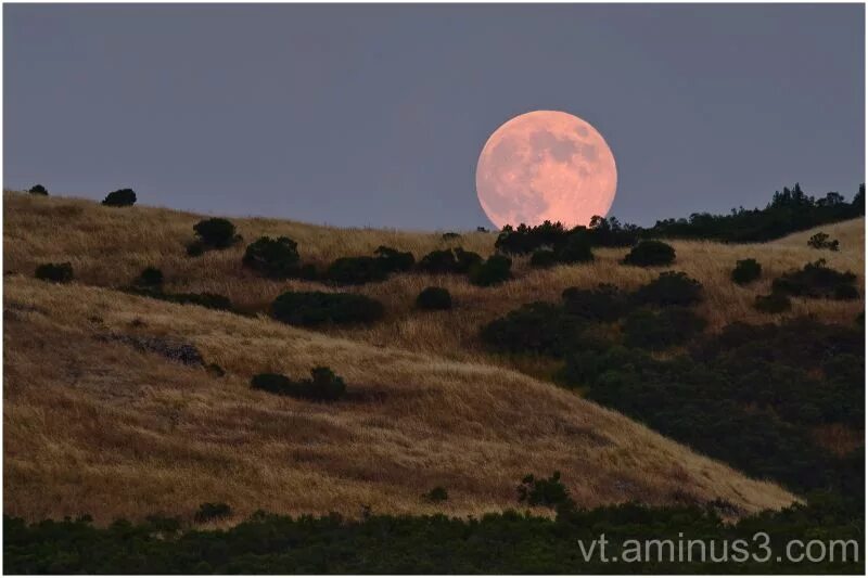 Почему луна низко. Огромная Луна на горизонте. Большая Луна. Большая Луна на горизонте. Большая Луна над горизонтом.