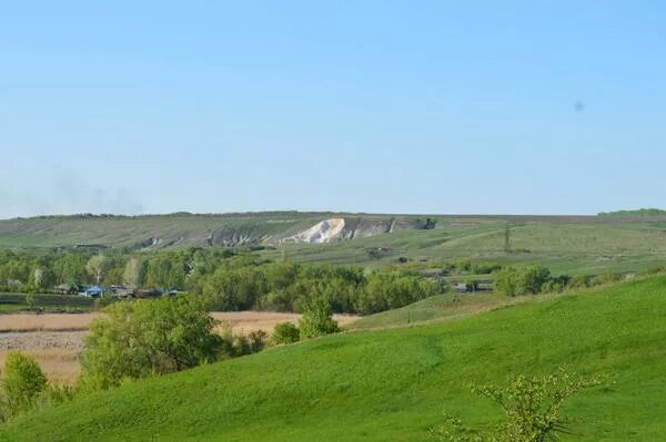 Село Лог Нижнедевицкого района Воронежской области. Вязноватовка Воронежская область. Водоемы Нижнедевицкого района Воронежской области. Пруды Нижнедевицкого района.