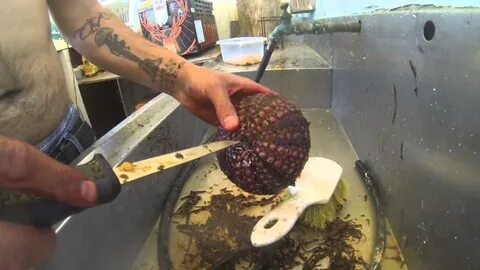 Как чистить морского