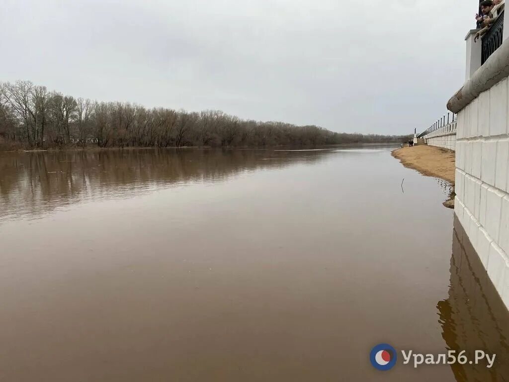 Уровень воды в реке урал сегодня. Река Салмыш Оренбургская. Уровень воды в реке Урал у Оренбурга в 2023. Разлив Урала в Оренбурге. Затопления реки Урал в Оренбурге.