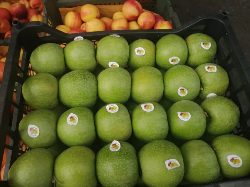 Лучший аксессуар для фруктовика. Лучший аксессуар для фруктовика. Фруктовая лавка москва. Лучший аксессуар для фруктовика. Лучший аксессуар для фруктовика.