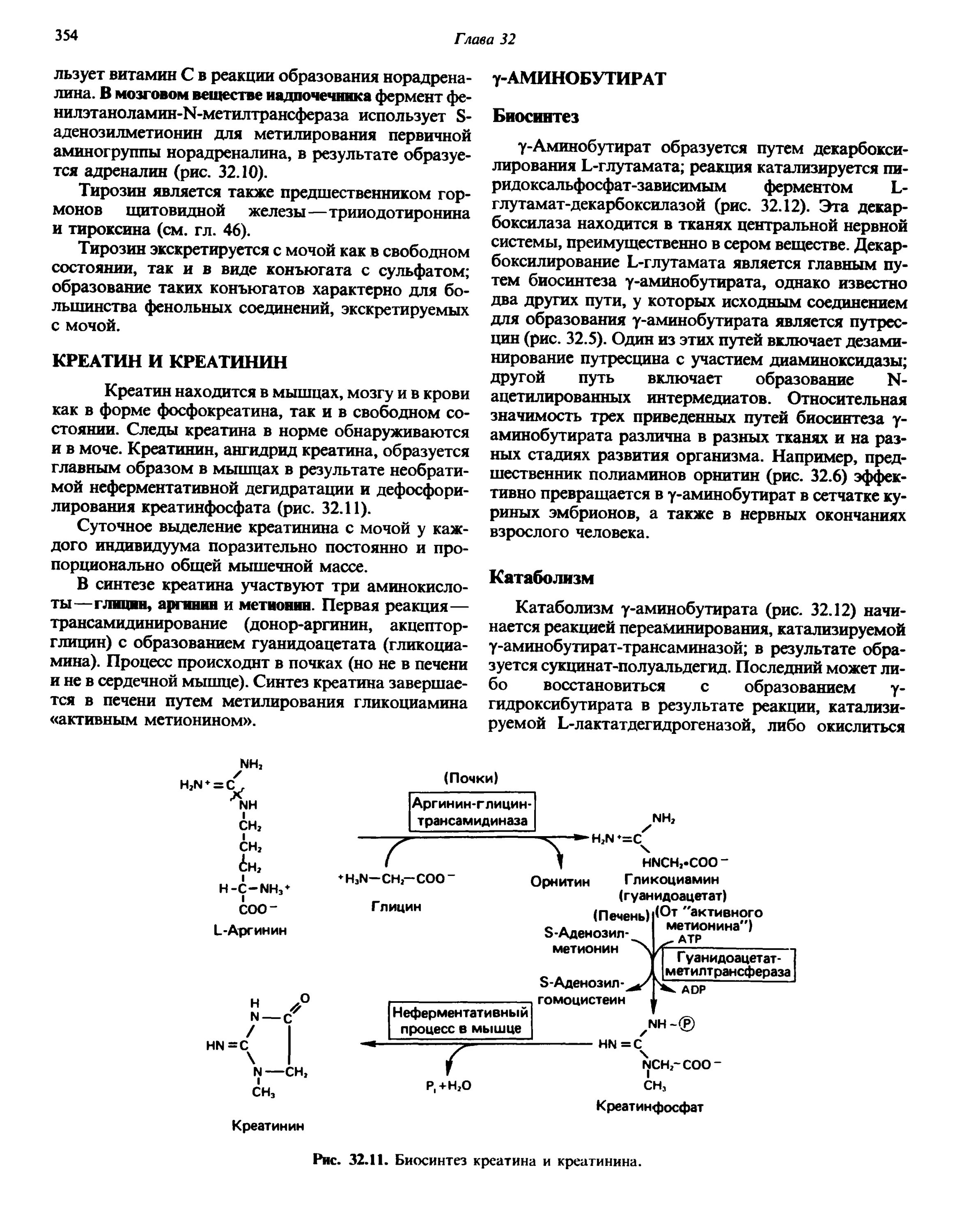 Синтез креатинина схема. Синтез креатина биохимия. Синтез креатинина биохимия. Образование креатинина биохимия схема. Креатинин действие