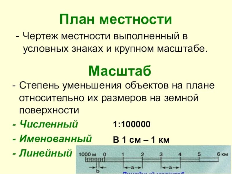 Местность какое число