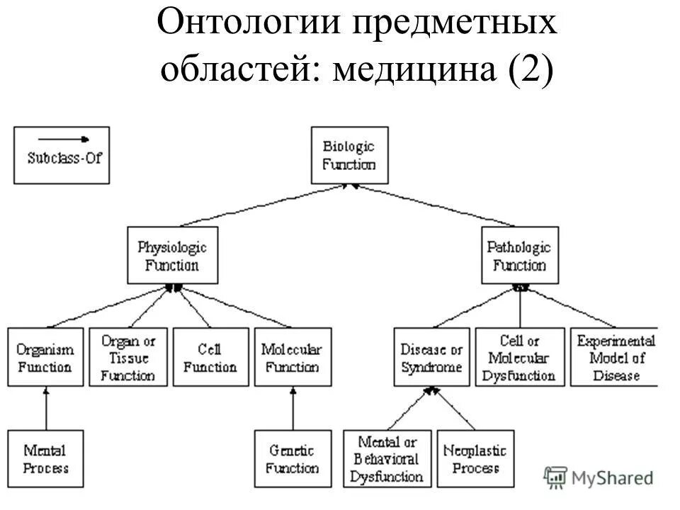 Ценности онтологии. Ценности онтологии