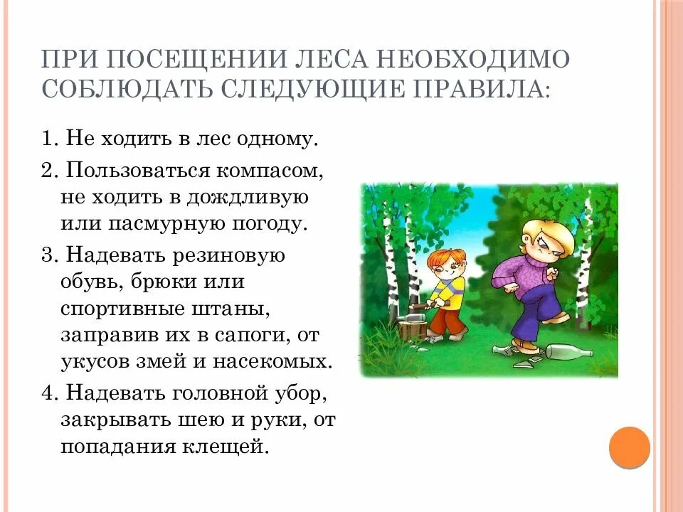 Время каникул время экскурсий. Безопасность поведения в лесу. Правила поведения в лесу. Правила поведения в лесу для детей. Безопасность в лесу для детей.