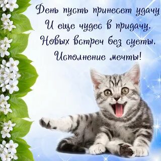Пожелания в прозе на каждый