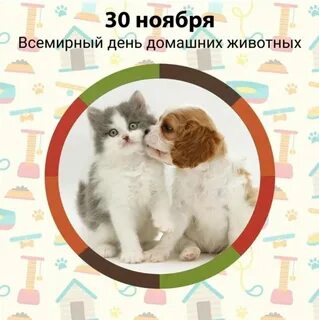 День животных в ноябре