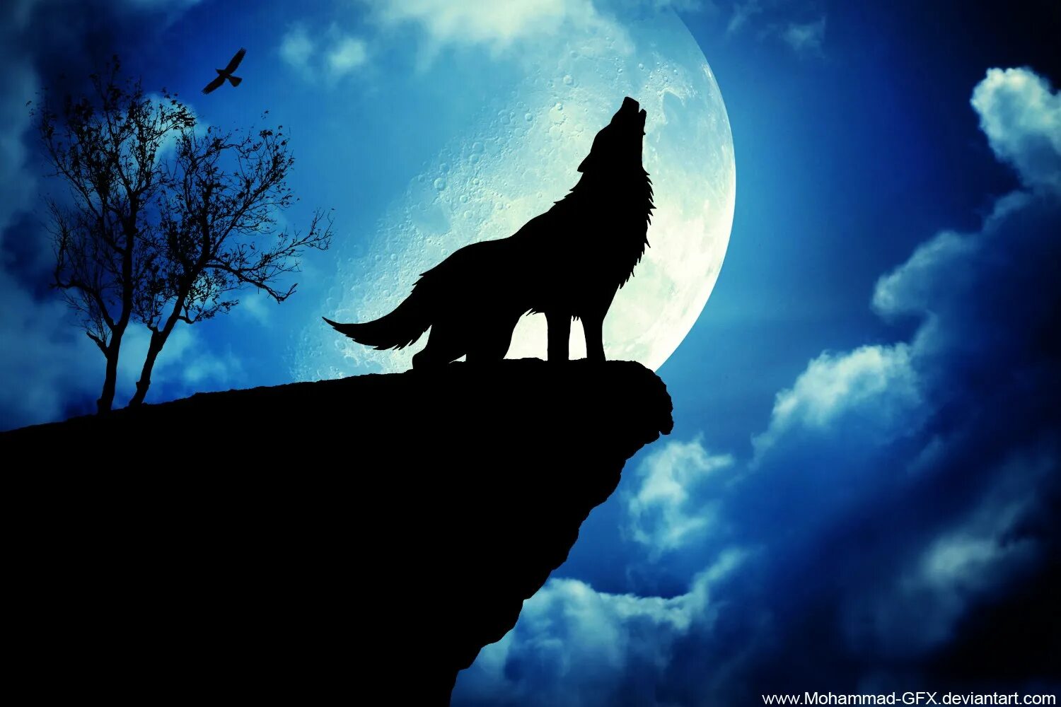 Одинокая волчица ночью. Волк воет на луну. Волк и Луна. Воющий волк. Волк в ночи.