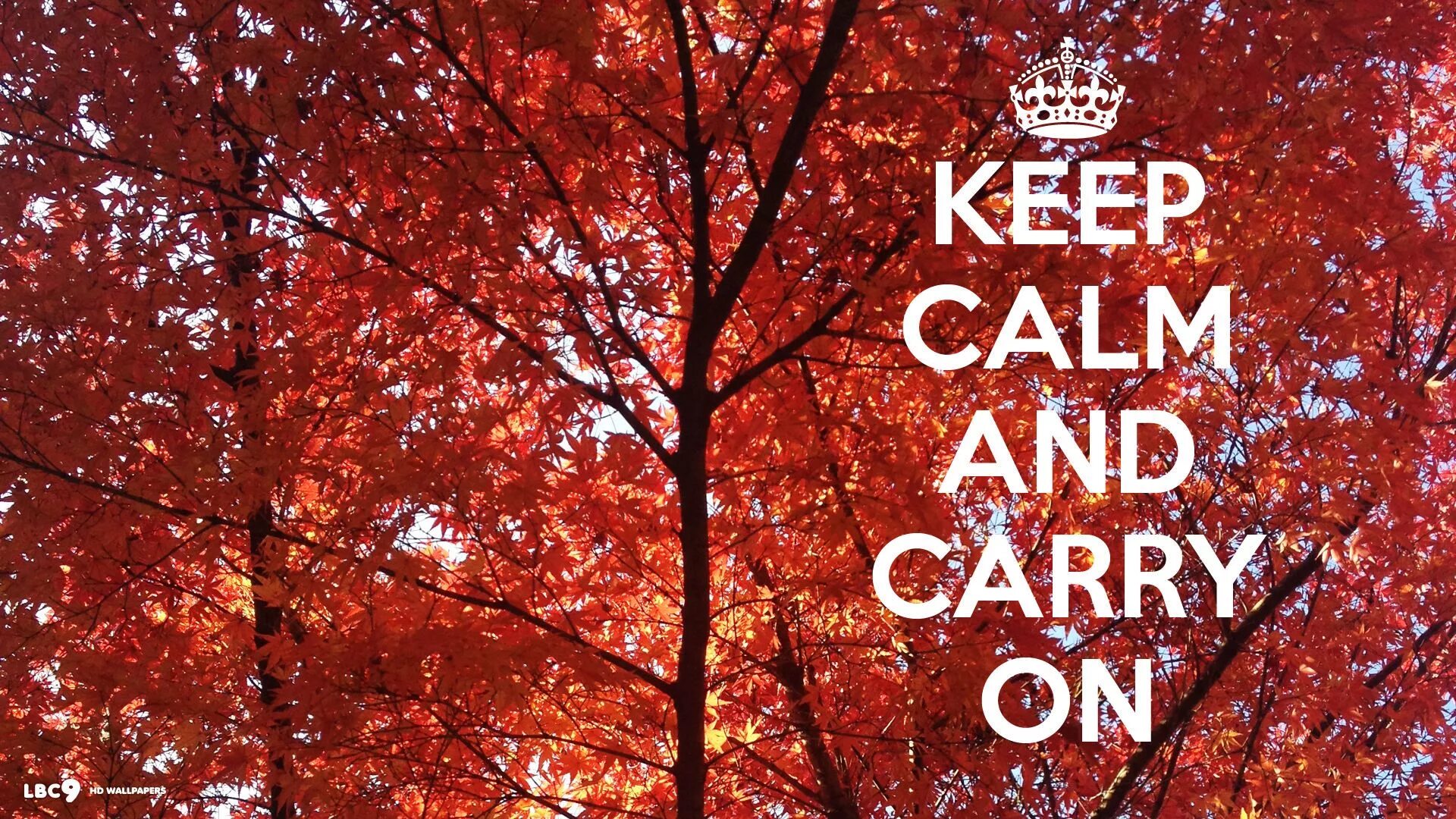 Keep Calm. Keep Calm and carry on. Обои на рабочий стол keep Calm. Keep Calm and carry on обои.