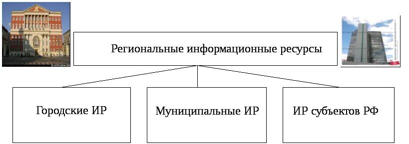 Государственные и муниципальные информационные ресурсы. Региональные информационные ресурсы.