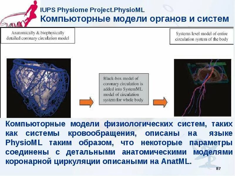 Компьютерное моделирование биологических систем. Моделирование биологических процессов в медицине. информационное моделирование в медицине. математическое моделирование в медицине. компьютерное моделирование в медицине презентация.