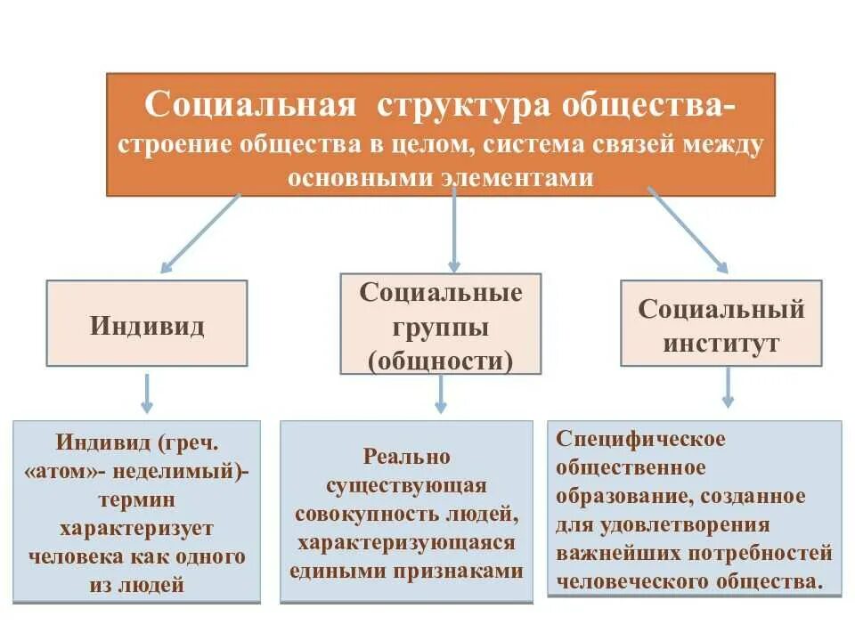 4 типа социальной структуры общества