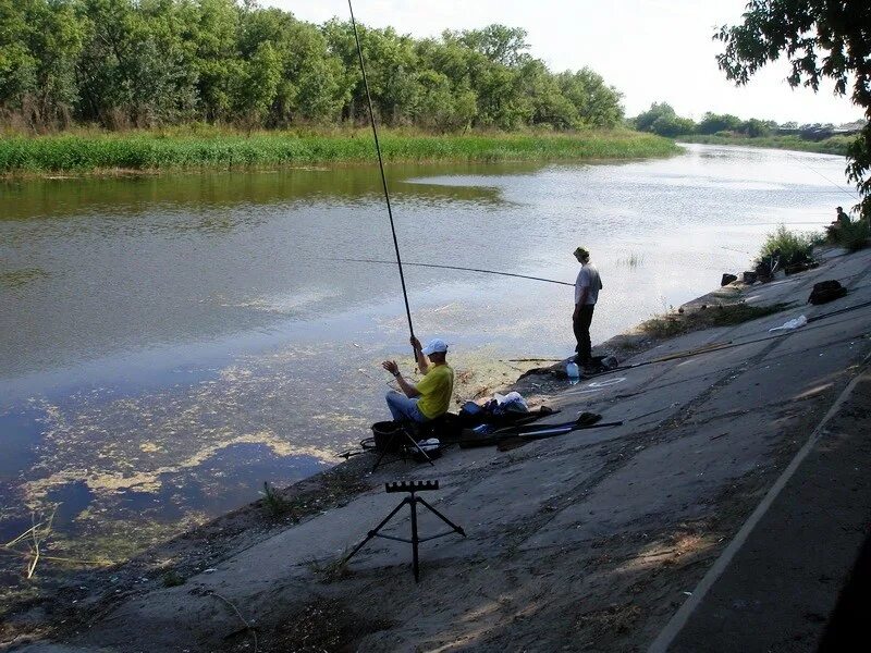 Рыбалка в курганской области. Река Тобол рыбалка в Курганской области. Рыбалка на Тоболе в Курганской области. Река Тобол рыбалка. Река Тобол рыбы.