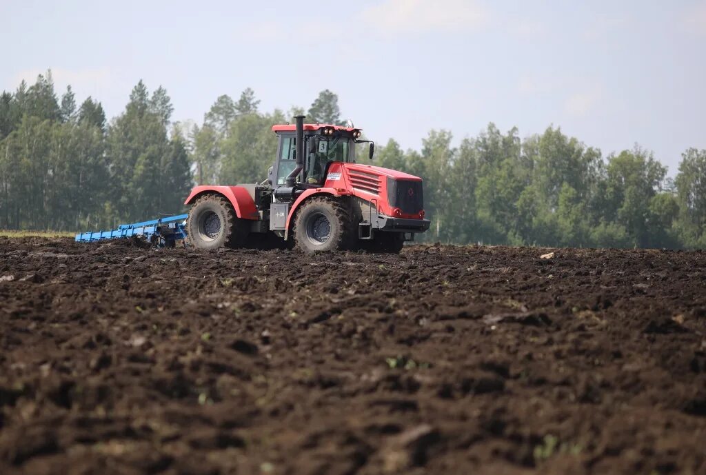 сельское хозяйство иркутск. сельское хозяйство сибири. скотоводство в иркутской области. сельское хозяйство иркутской области. сельское хозяйство иркутск.