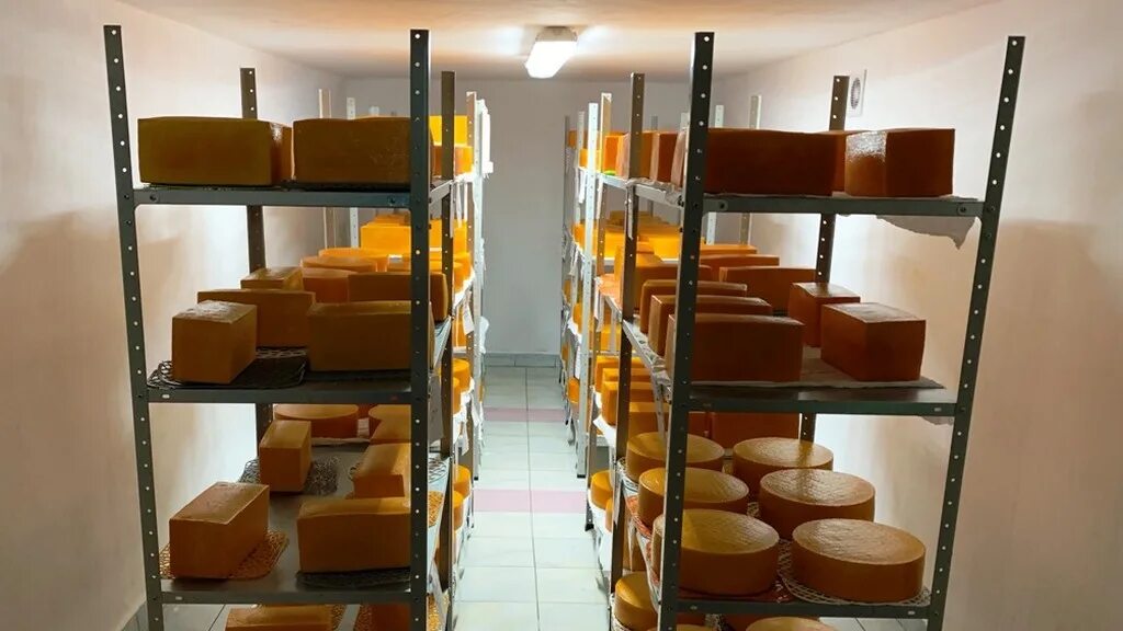 Ермолинское новгородская область. Ермолинское сельское поселение. Производство оао города ермолино. Ермолинское новгородская область. Речанское сельское поселение д.