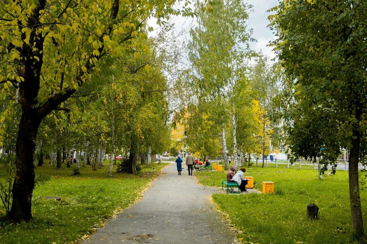 Ревда лист. Парк дк ревда. природа города ревды. ревда золотая осень. ревда (город).