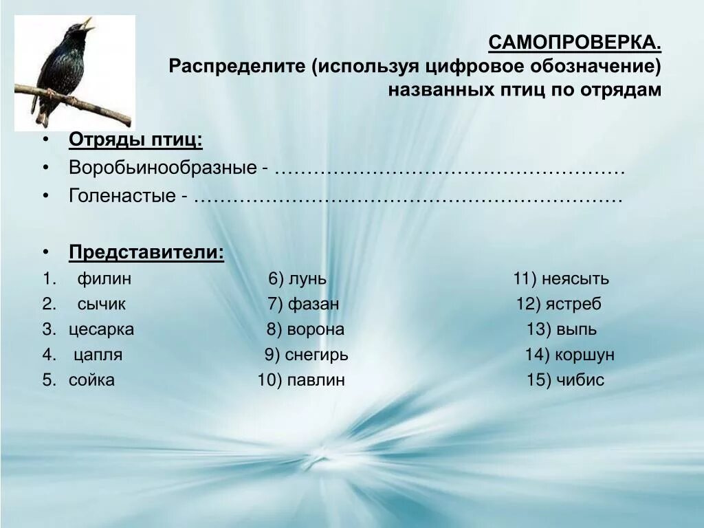 Отряды птиц. Название отрядов птиц. Класс птицы представители. Отряды птиц презентация. Примеры животных класса птицы