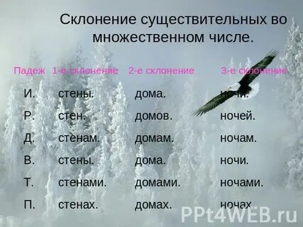 Склонение имени существительного иней