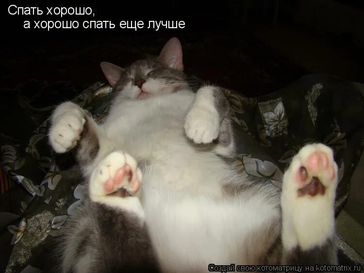 хорош спать. открытки спокойной ночи. ночь спать. добрый засыпать. добрый засыпать.