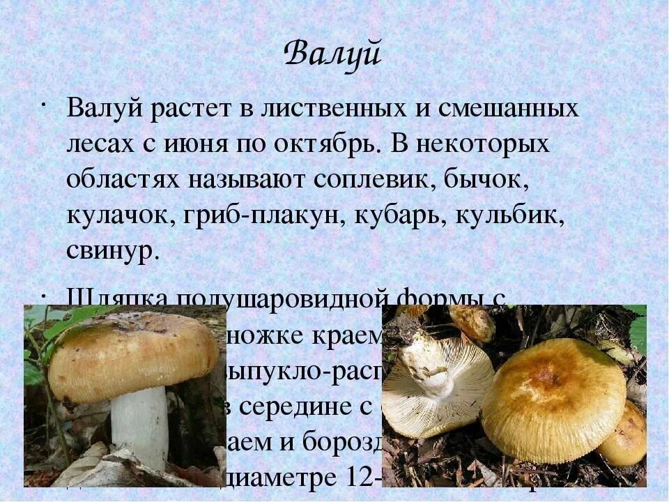 Из книги. Несъедобные виды. - 28 фотографий ВКонтакте