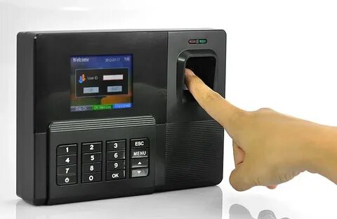 Device build fingerprint