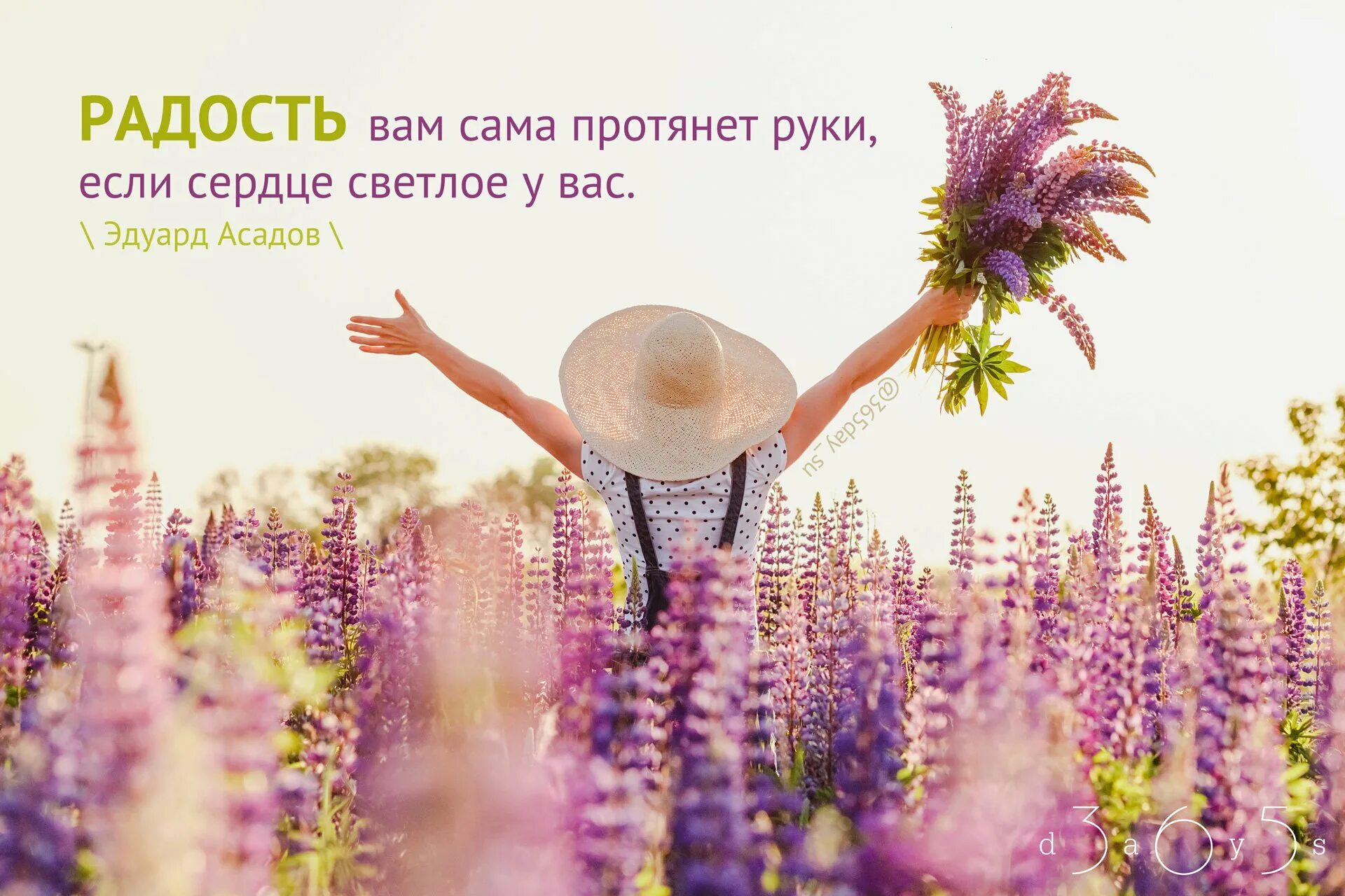 Твою радость. Радость жизни цитаты. Цитаты о радости. Афоризмы о радости жизни. Афоризмы про радость.