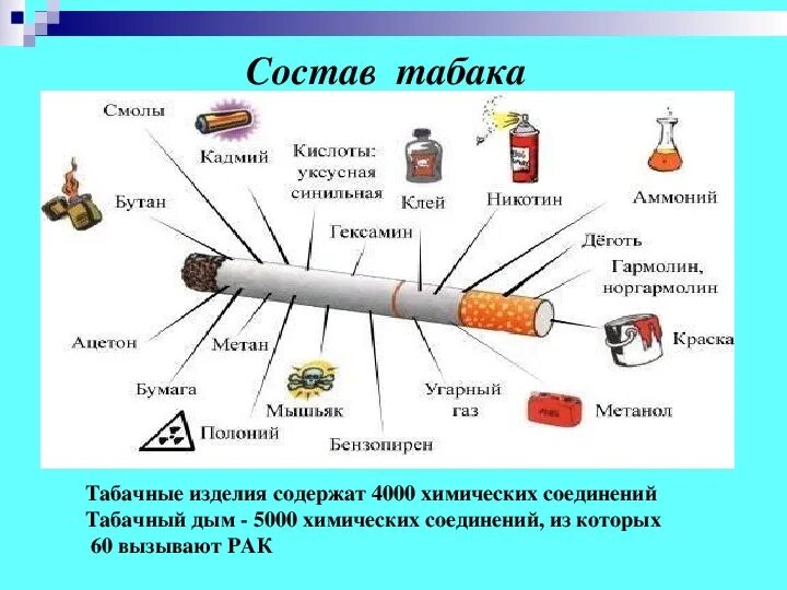 Табакокурение состав табачного дыма. Состав табачного дыма слайд. Классификация табачной продукции. Состав и строение сигареты.