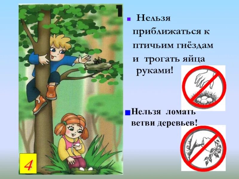 Дети ломают ветки. Нельзя ломать деревья. запрещается ломать деревья. . нельзя ломать ветви деревьев. запрещается ломать ветки.