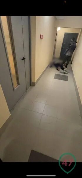 Кровавый след мариенгофа. Кровавые следы в подъезде. 5 ночей в подъезде. кровь на лестничной площадке на оборонной мурино.
