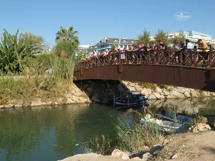 Side bridges
