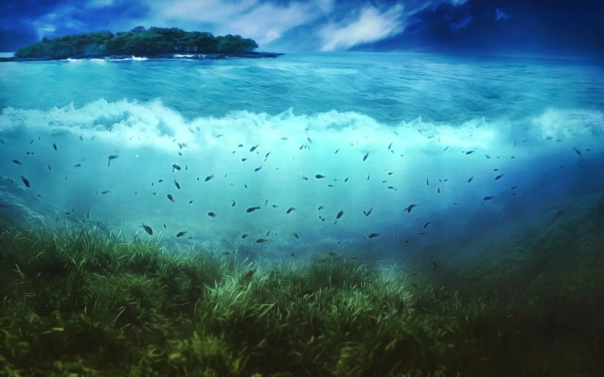 Сквозь толще воды. Океан под водой. Подводные пейзажи. Море под водой. Морские глубины.