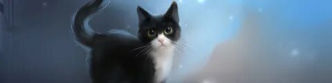 Cat cover