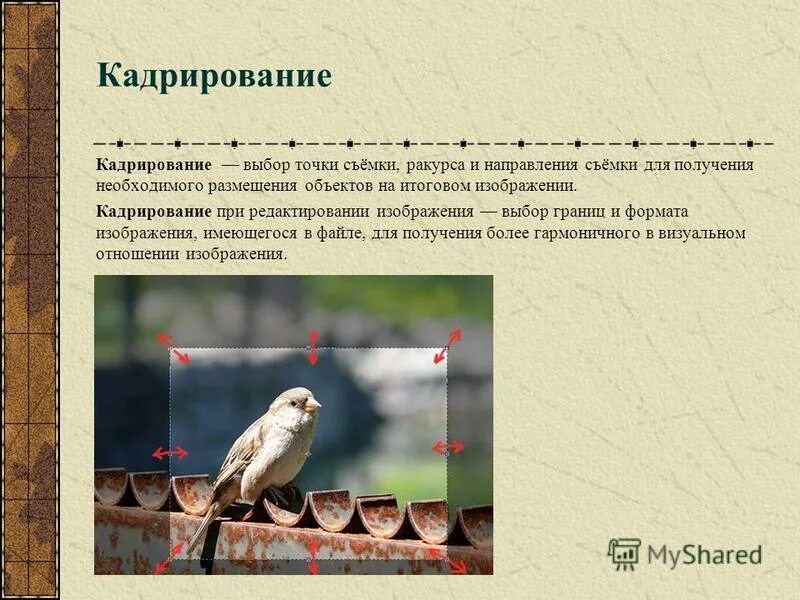 Точка съемки. Выбор объекта и точки съемки. Точка съемки. Выбор точки съемки. Выбора точки съемки и ракурса.