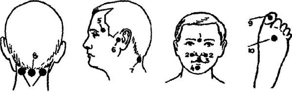 Строение уха внешнее среднее внутреннее. Самомассаж ушей. Отит точки акупунктуры. Точки акупунктуры на ушной раковине. Массаж при отите.