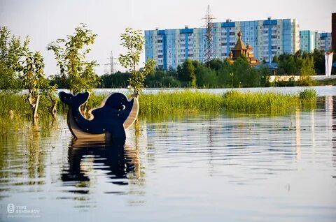 За саймой сургут