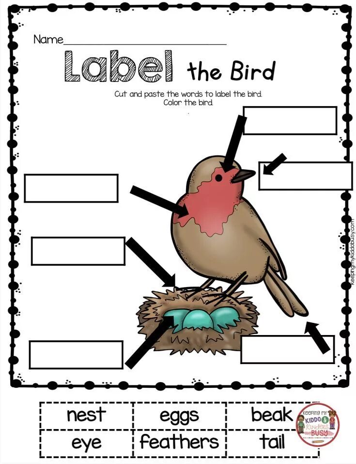 Birds задание. Birds Worksheets for Kids Parts of Birds. Parts of a Bird Worksheets. Bird body Parts. Bird body Parts Worksheet.