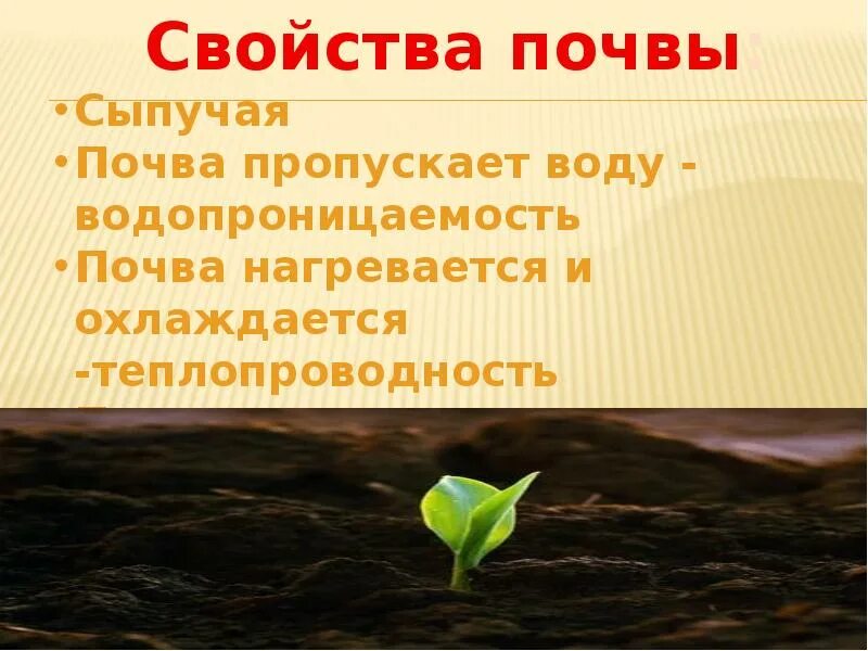 Свойство почвы окружающий мир