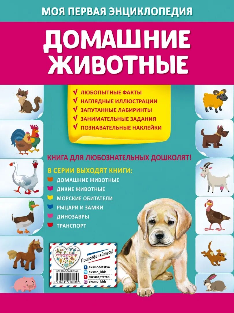 Книжка для малышей. Книга:у нас дома кошка. Книги о дом животных. Книга животные в доме. Книга животные в доме.