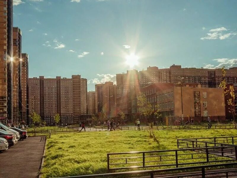 Парнас история. Парнас Санкт-Петербург. Район метро Парнас Санкт-Петербург. Парнас 25 Санкт-Петербург.