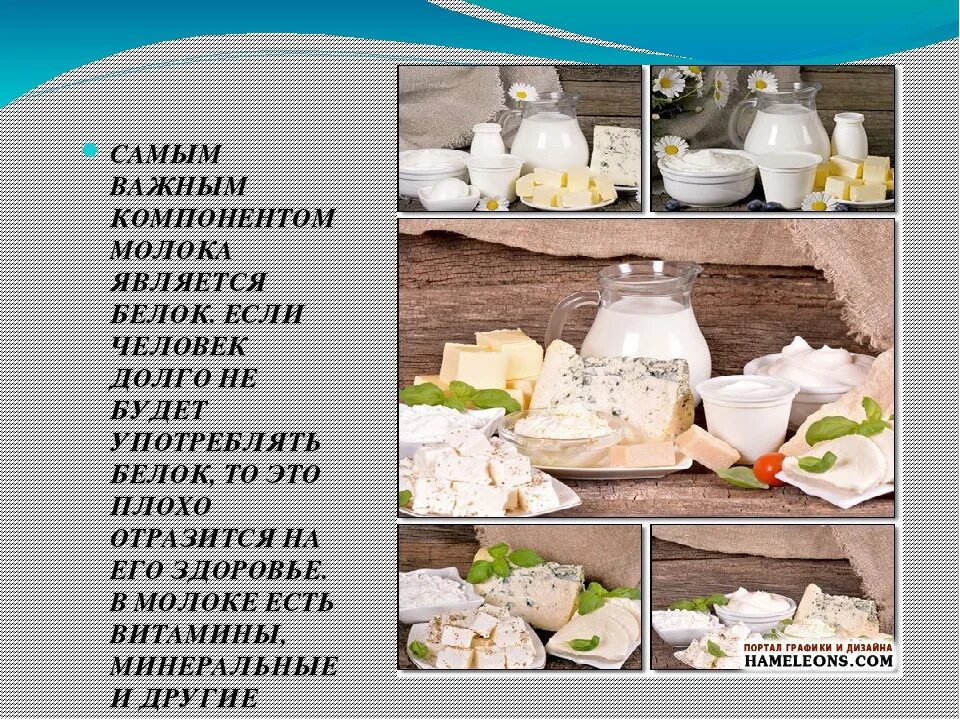 Белковые молочные продукты. Молоко это белок. Белок в молочных продуктах. Белки в молочных продуктах.