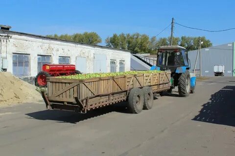 Погода в жердевке тамбовской обл сегодня завтра