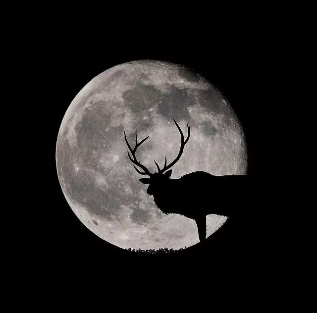 July 2023 full moon: Supermoon, buck moon coming this holiday weekend