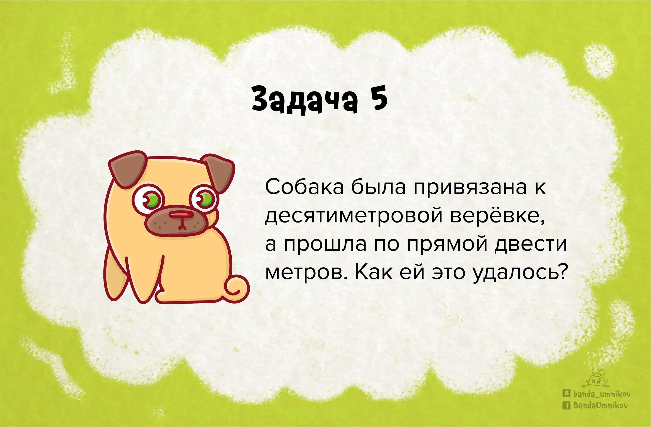 Задачи с подвохом. Смешные математические задачи на логику. Задания с подвохом с ответами. Смешные задания на логику. Логические задачи с подвохом.