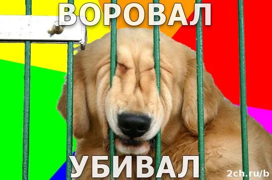 Я воровал я убивал