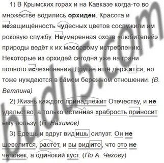 142 русский 8 класс