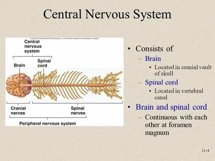Central system