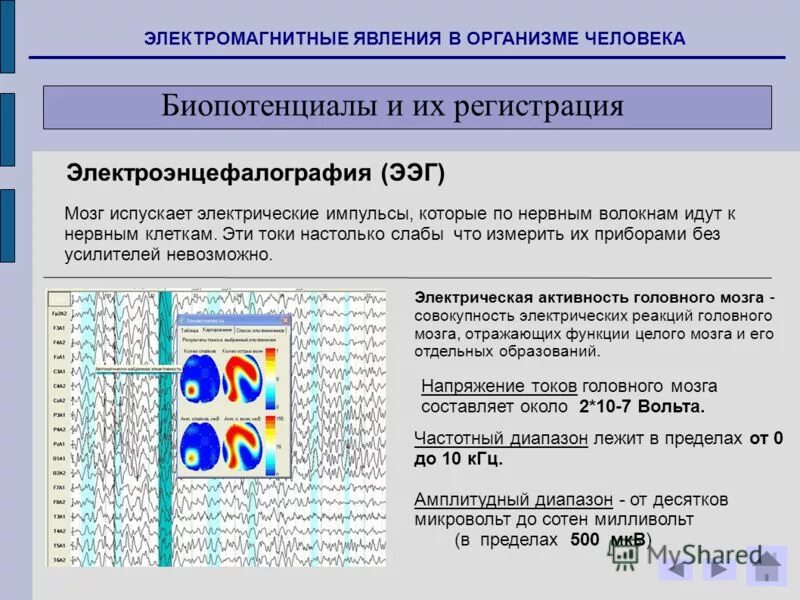 Изменения биопотенциалов головного мозга. Электромагнитные явления в организме человека. Биопотенциалы головного мозга. ЭЭГ биопотенциалы. Классификация биопотенциалов.